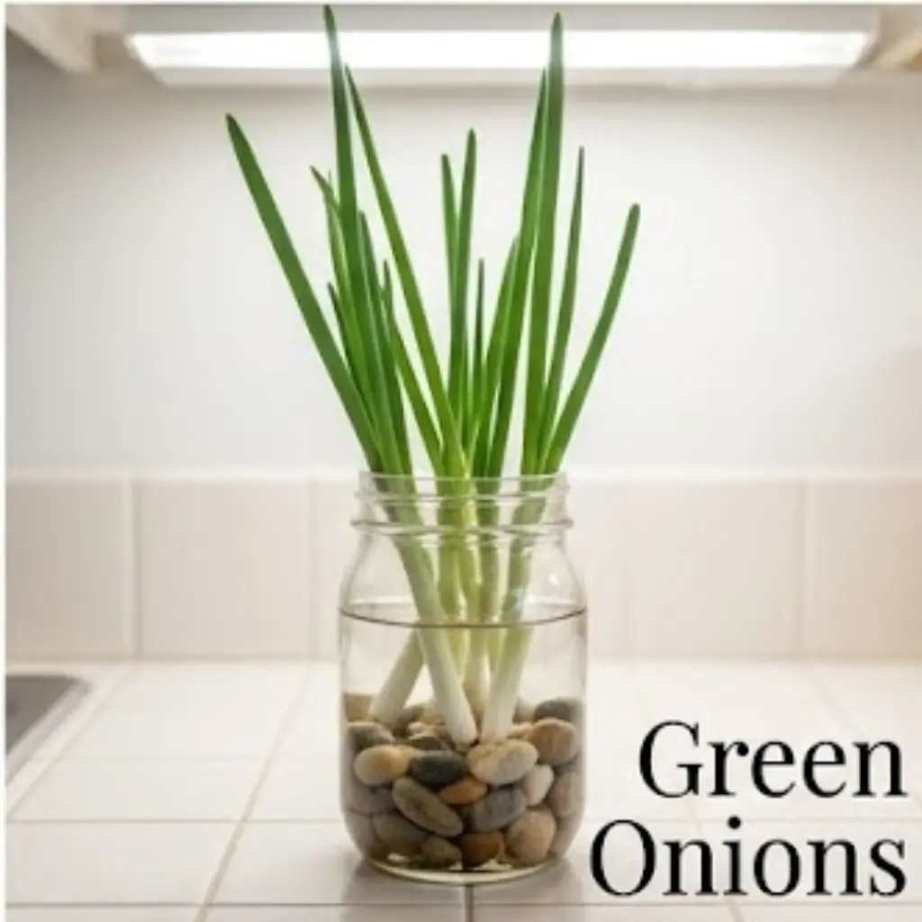 Green onions