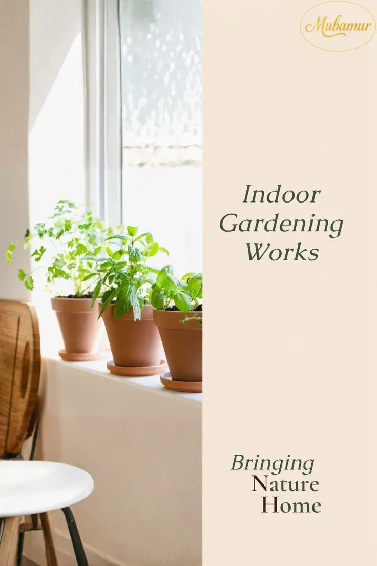 Fresh indoor herb garden growing on a sunny American windowsill