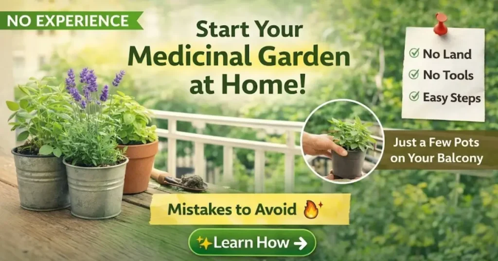 Beginner-friendly medicinal garden setup with small potted herbs on a balcony, showing simple steps to start growing medicinal plants at home